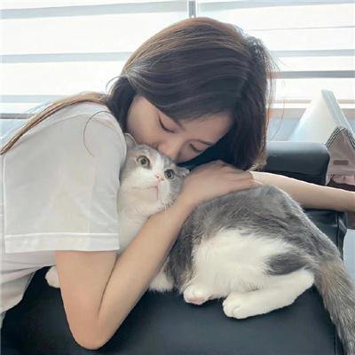 狗狗人生